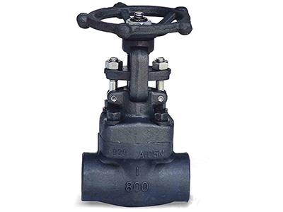 FS GGC Valve